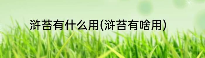 浒苔有什么用(浒苔有啥用)