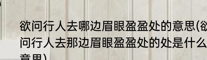 欲问行人去哪边眉眼盈盈处的意思(欲问行人去那边眉眼盈盈处的处是什么意思)