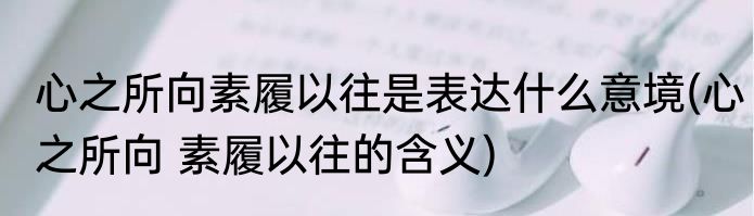 心之所向素履以往是表达什么意境(心之所向 素履以往的含义)