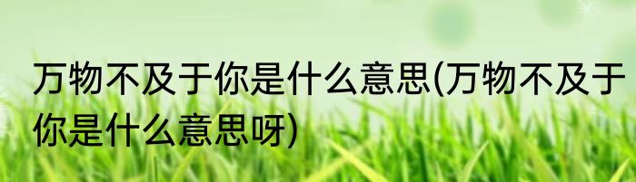 万物不及于你是什么意思(万物不及于你是什么意思呀)
