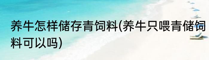 养牛怎样储存青饲料(养牛只喂青储饲料可以吗)