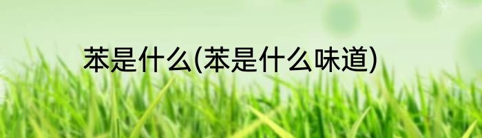 苯是什么(苯是什么味道)