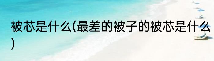 被芯是什么(最差的被子的被芯是什么)