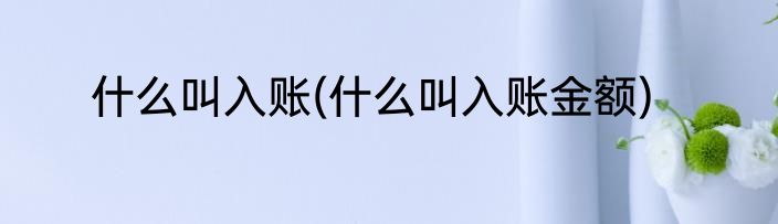 什么叫入账(什么叫入账金额)