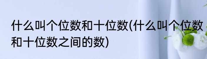 什么叫个位数和十位数(什么叫个位数和十位数之间的数)