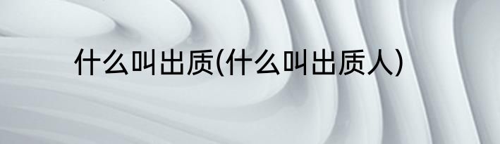 什么叫出质(什么叫出质人)
