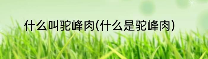 什么叫驼峰肉(什么是驼峰肉)