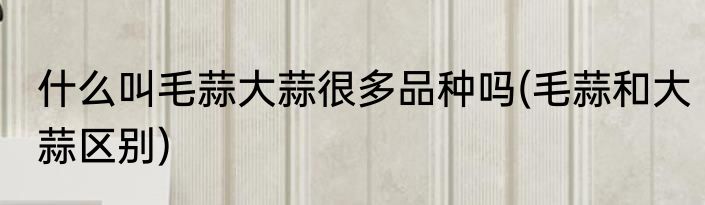 什么叫毛蒜大蒜很多品种吗(毛蒜和大蒜区别)