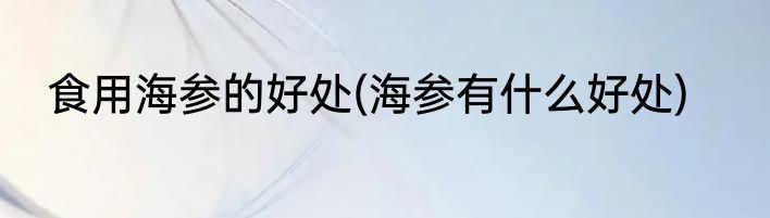 食用海参的好处(海参有什么好处)