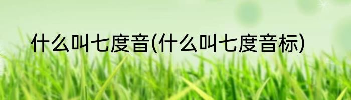 什么叫七度音(什么叫七度音标)