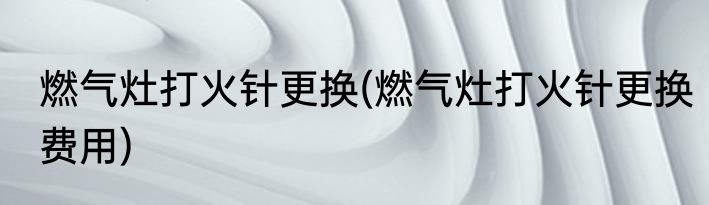 燃气灶打火针更换(燃气灶打火针更换费用)