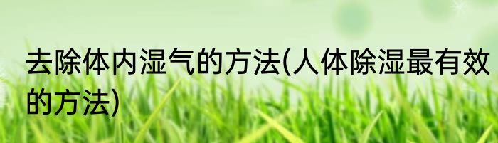 去除体内湿气的方法(人体除湿最有效的方法)