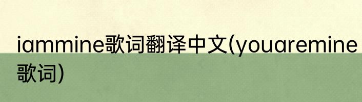 iammine歌词翻译中文(youaremine歌词)
