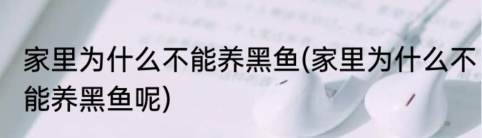 家里为什么不能养黑鱼(家里为什么不能养黑鱼呢)