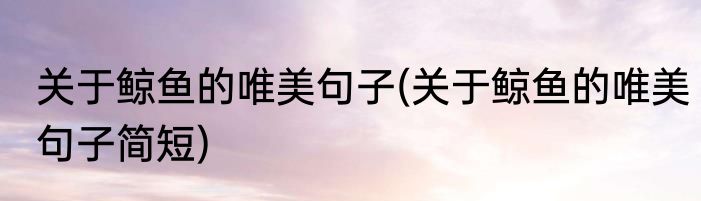 关于鲸鱼的唯美句子(关于鲸鱼的唯美句子简短)