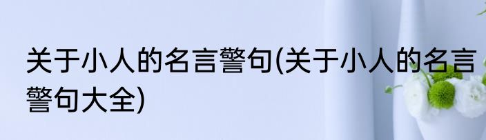 关于小人的名言警句(关于小人的名言警句大全)