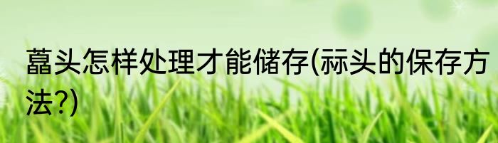 藠头怎样处理才能储存(祘头的保存方法?)