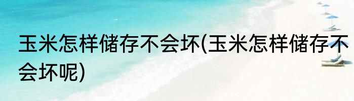 玉米怎样储存不会坏(玉米怎样储存不会坏呢)