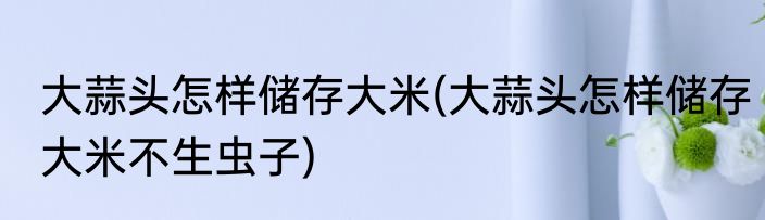 大蒜头怎样储存大米(大蒜头怎样储存大米不生虫子)