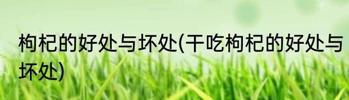 枸杞的好处与坏处(干吃枸杞的好处与坏处)