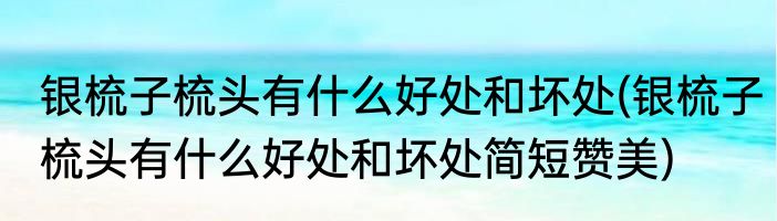 银梳子梳头有什么好处和坏处(银梳子梳头有什么好处和坏处简短赞美)