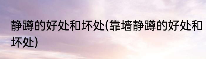 静蹲的好处和坏处(靠墙静蹲的好处和坏处)