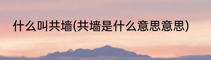 什么叫共墙(共墙是什么意思意思)