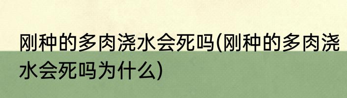 刚种的多肉浇水会死吗(刚种的多肉浇水会死吗为什么)