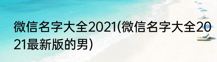 微信名字大全2021(微信名字大全2021最新版的男)