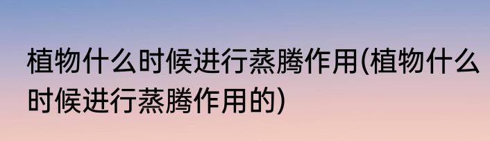 植物什么时候进行蒸腾作用(植物什么时候进行蒸腾作用的)