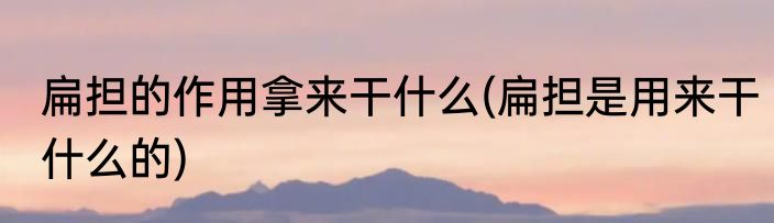 扁担的作用拿来干什么(扁担是用来干什么的)