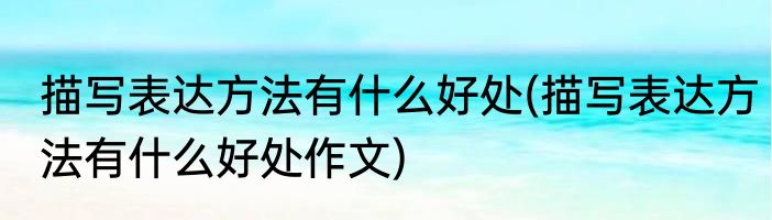 描写表达方法有什么好处(描写表达方法有什么好处作文)