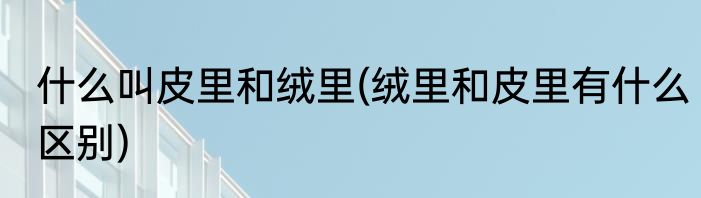什么叫皮里和绒里(绒里和皮里有什么区别)