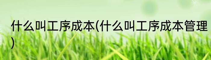 什么叫工序成本(什么叫工序成本管理)