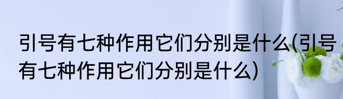 引号有七种作用它们分别是什么(引号有七种作用它们分别是什么)