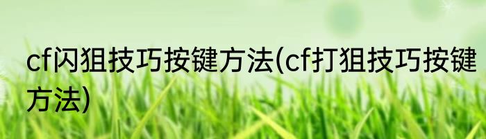 cf闪狙技巧按键方法(cf打狙技巧按键方法)