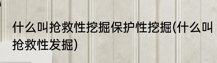什么叫抢救性挖掘保护性挖掘(什么叫抢救性发掘)
