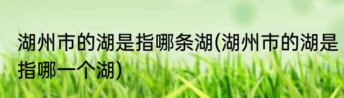 湖州市的湖是指哪条湖(湖州市的湖是指哪一个湖)