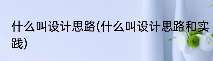 什么叫设计思路(什么叫设计思路和实践)