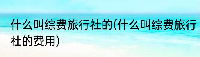 什么叫综费旅行社的(什么叫综费旅行社的费用)