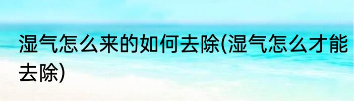 湿气怎么来的如何去除(湿气怎么才能去除)