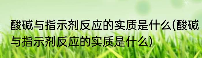 酸碱与指示剂反应的实质是什么(酸碱与指示剂反应的实质是什么)