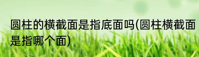 圆柱的横截面是指底面吗(圆柱横截面是指哪个面)