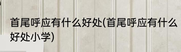 首尾呼应有什么好处(首尾呼应有什么好处小学)