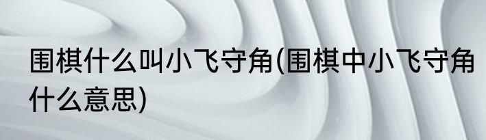 围棋什么叫小飞守角(围棋中小飞守角什么意思)