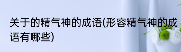 关于的精气神的成语(形容精气神的成语有哪些)