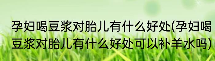 孕妇喝豆浆对胎儿有什么好处(孕妇喝豆浆对胎儿有什么好处可以补羊水吗)