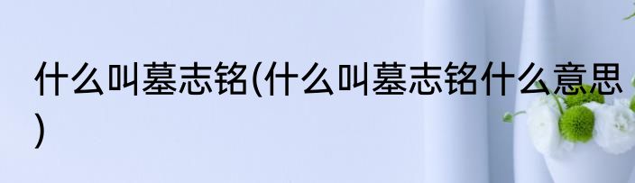 什么叫墓志铭(什么叫墓志铭什么意思)