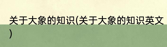 关于大象的知识(关于大象的知识英文)