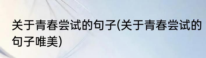 关于青春尝试的句子(关于青春尝试的句子唯美)